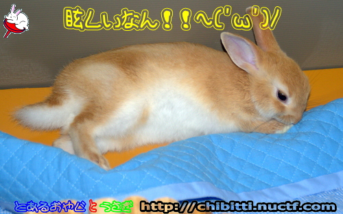 画像クリックで拡大します