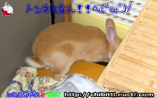 画像クリックで拡大します