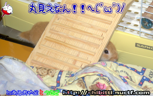 画像クリックで拡大します