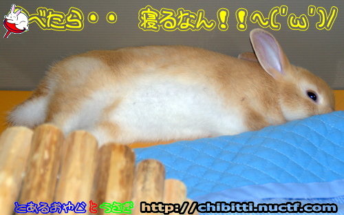 画像クリックで拡大します