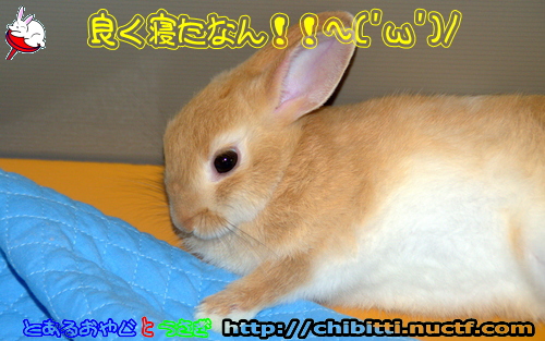 画像クリックで拡大します