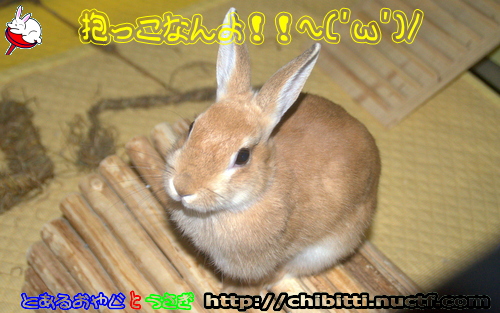 画像クリックで拡大します