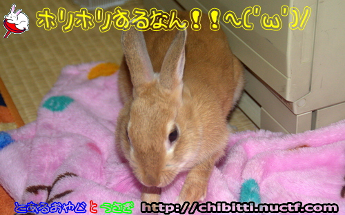 画像クリックで拡大します