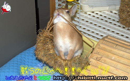 画像クリックで拡大します