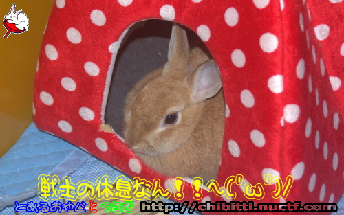 画像クリックで拡大します