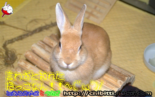 画像クリックで拡大します