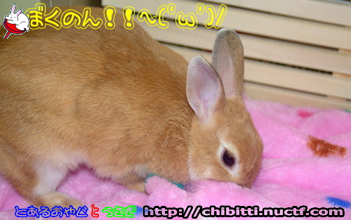 画像クリックで拡大します
