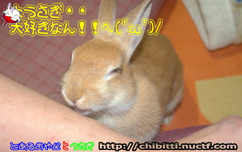 画像クリックで拡大します