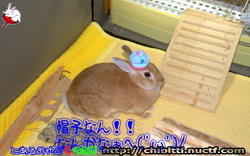 画像クリックで拡大します