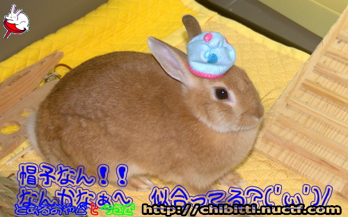 画像クリックで拡大します