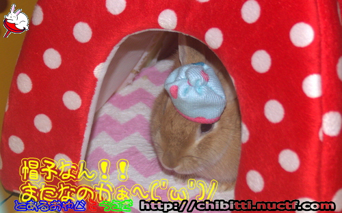 画像クリックで拡大します