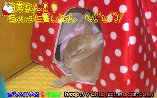 画像クリックで拡大します