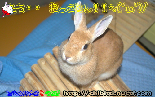 画像クリックで拡大します
