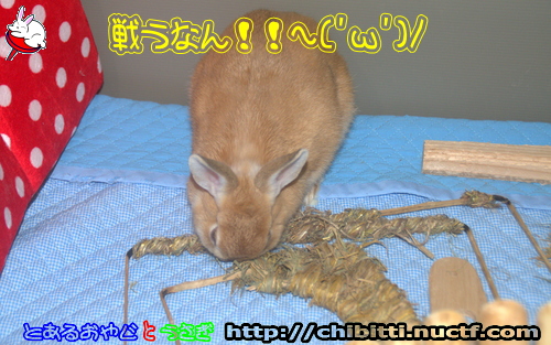 画像クリックで拡大します