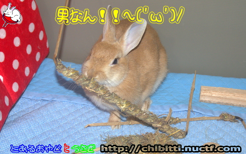 画像クリックで拡大します
