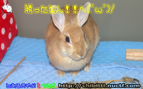 画像クリックで拡大します