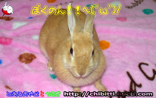 画像クリックで拡大します