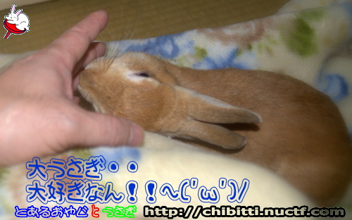 画像クリックで拡大します