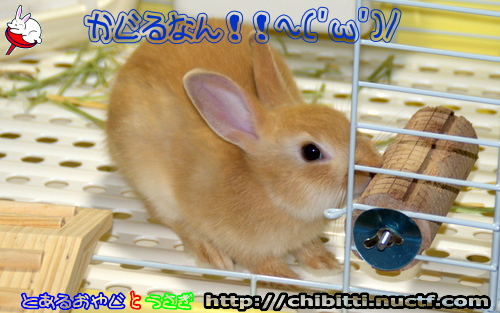 画像クリックで拡大します