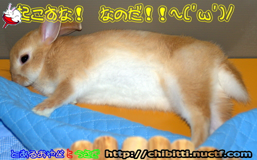 画像クリックで拡大します