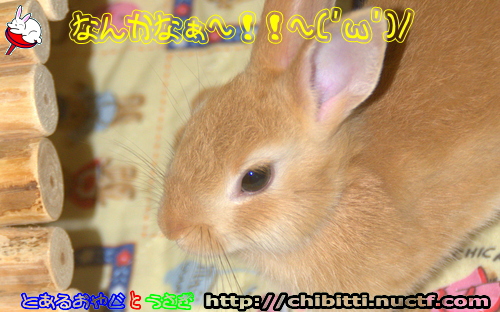 画像クリックで拡大します