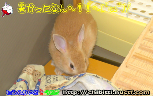 画像クリックで拡大します