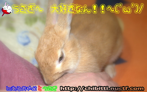画像クリックで拡大します