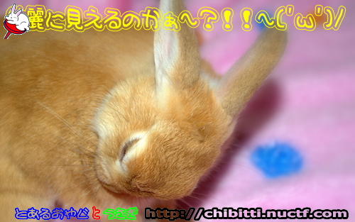 画像クリックで拡大します
