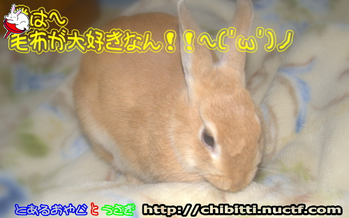 画像クリックで拡大します