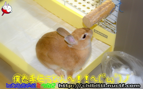 画像クリックで拡大します