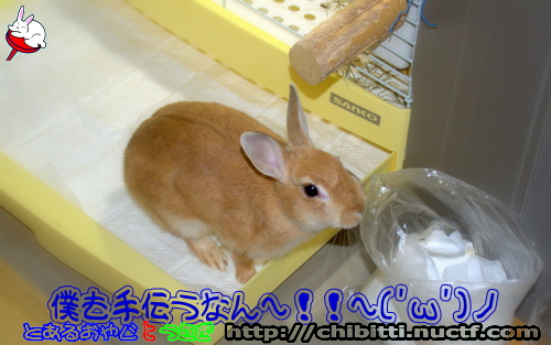 画像クリックで拡大します
