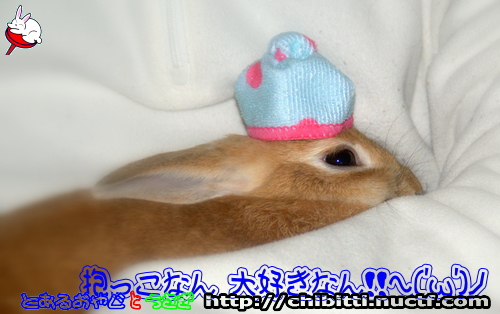 画像クリックで拡大します