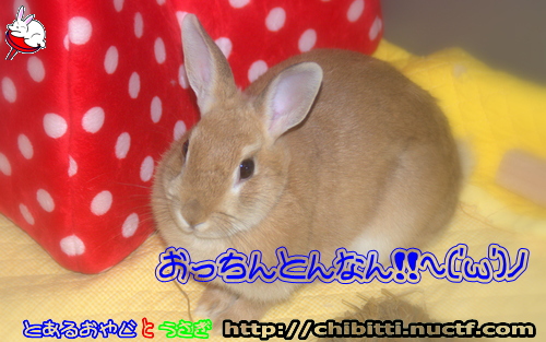 画像クリックで拡大します