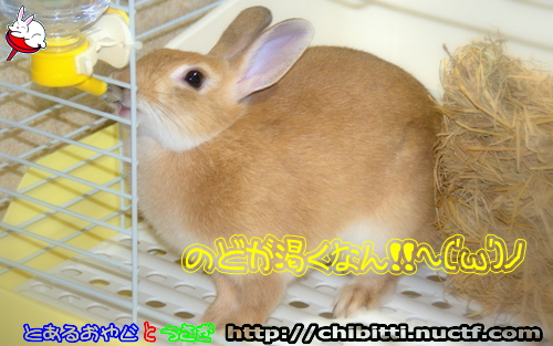 画像クリックで拡大します
