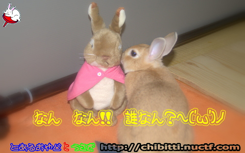 画像クリックで拡大します