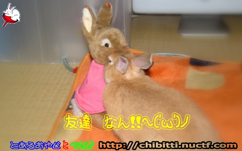 画像クリックで拡大します