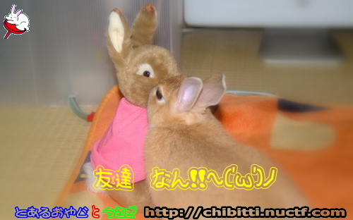 画像クリックで拡大します