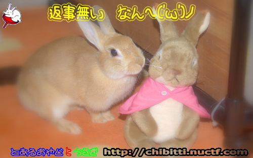 画像クリックで拡大します