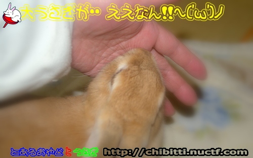 画像クリックで拡大します