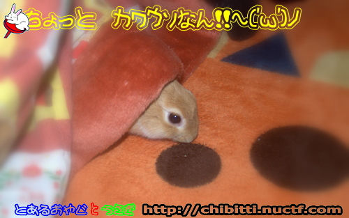 画像クリックで拡大します