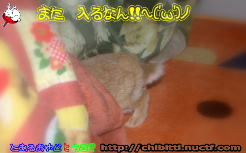 画像クリックで拡大します