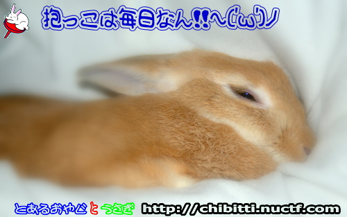 画像クリックで拡大します