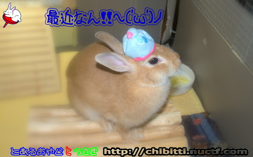 画像クリックで拡大します