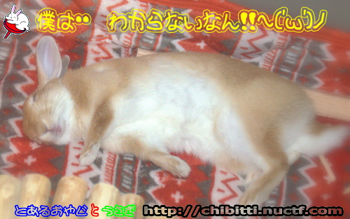 画像クリックで拡大します