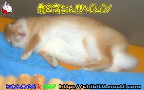 画像クリックで拡大します