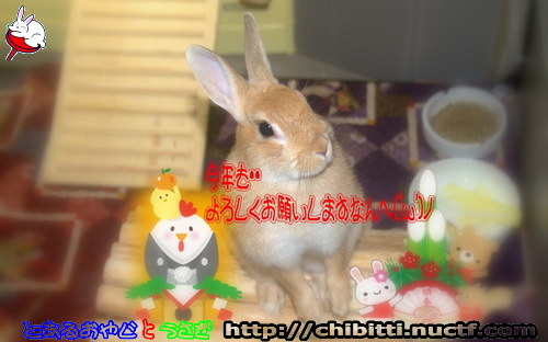 画像クリックで拡大します