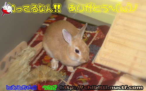 画像クリックで拡大します