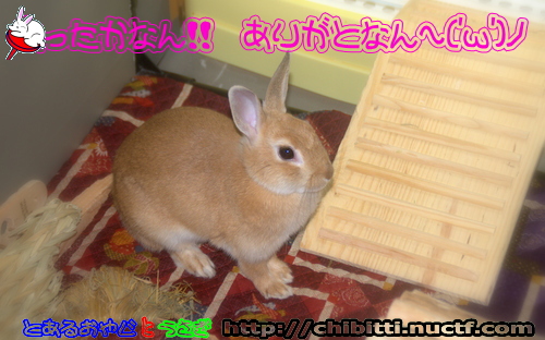 画像クリックで拡大します
