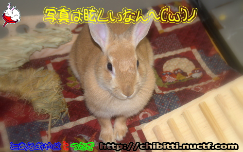 画像クリックで拡大します