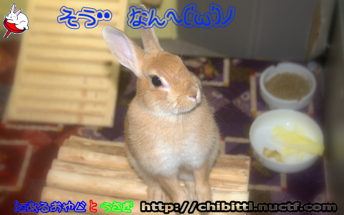 画像クリックで拡大します